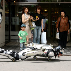 BUGGY ROLLIN in Japan 2005