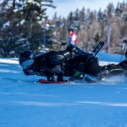 BUGGY SKI Montalbert festigliss