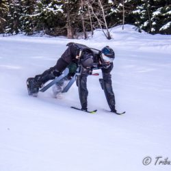 BUGGY SKI Montalbert festigliss