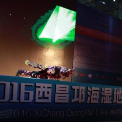 Rollerman at Xichang 2016